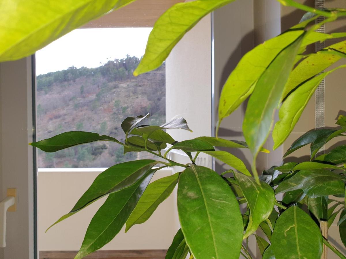 科维良Altavista Penthouse T2公寓 外观 照片